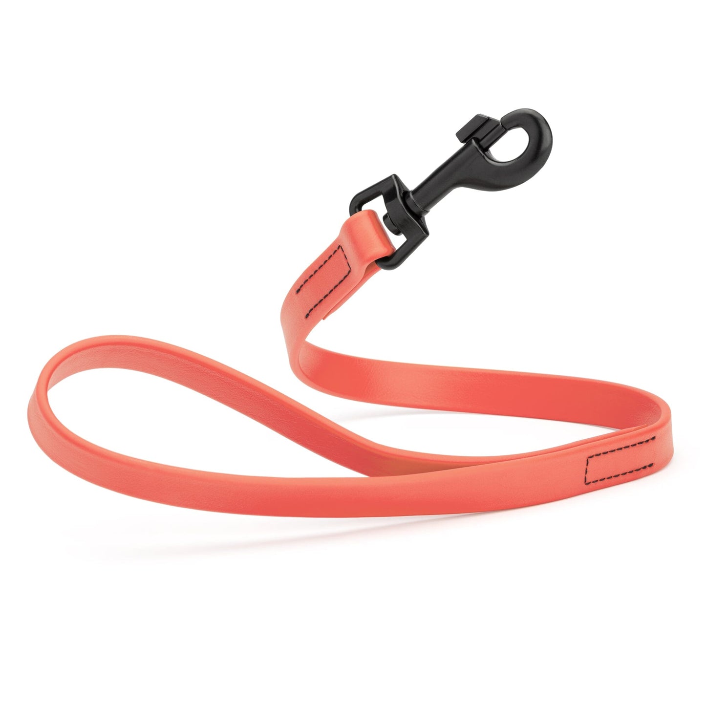 Biothane Waterproof 2 ft Traffic Lead