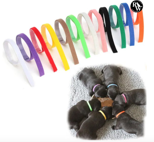 Retrieverworx puppy collars for retriever training