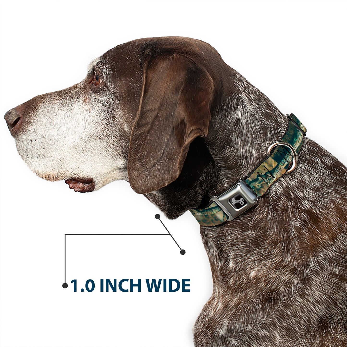 Dog Bone Seatbelt Buckle Collar - Mossy Oak Break-Up Infinity