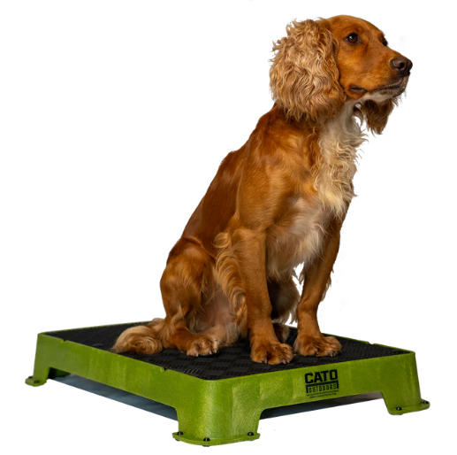 Cato Dog Place Training Board 2 New Colors!