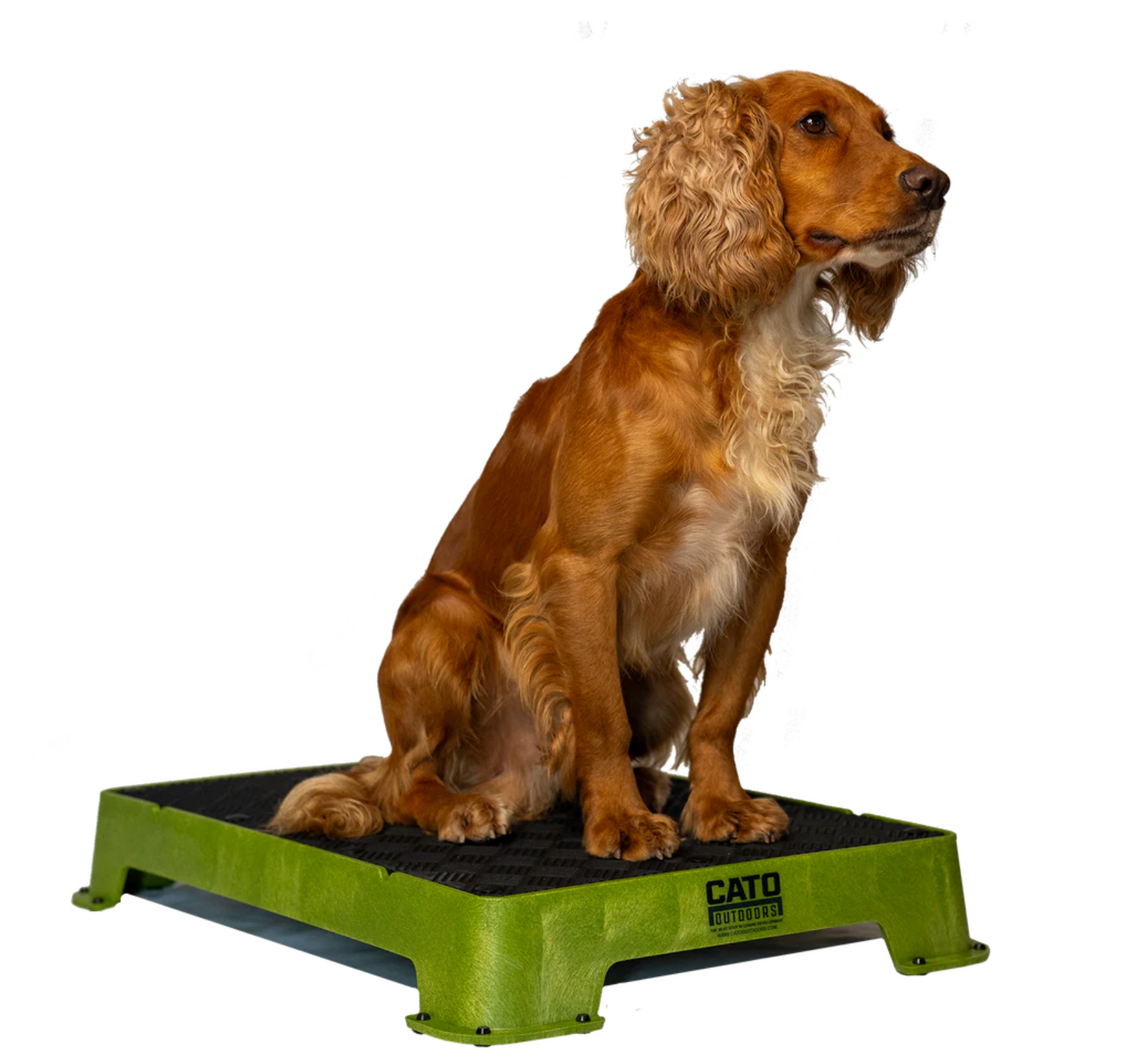 Cato Dog Place Training Board