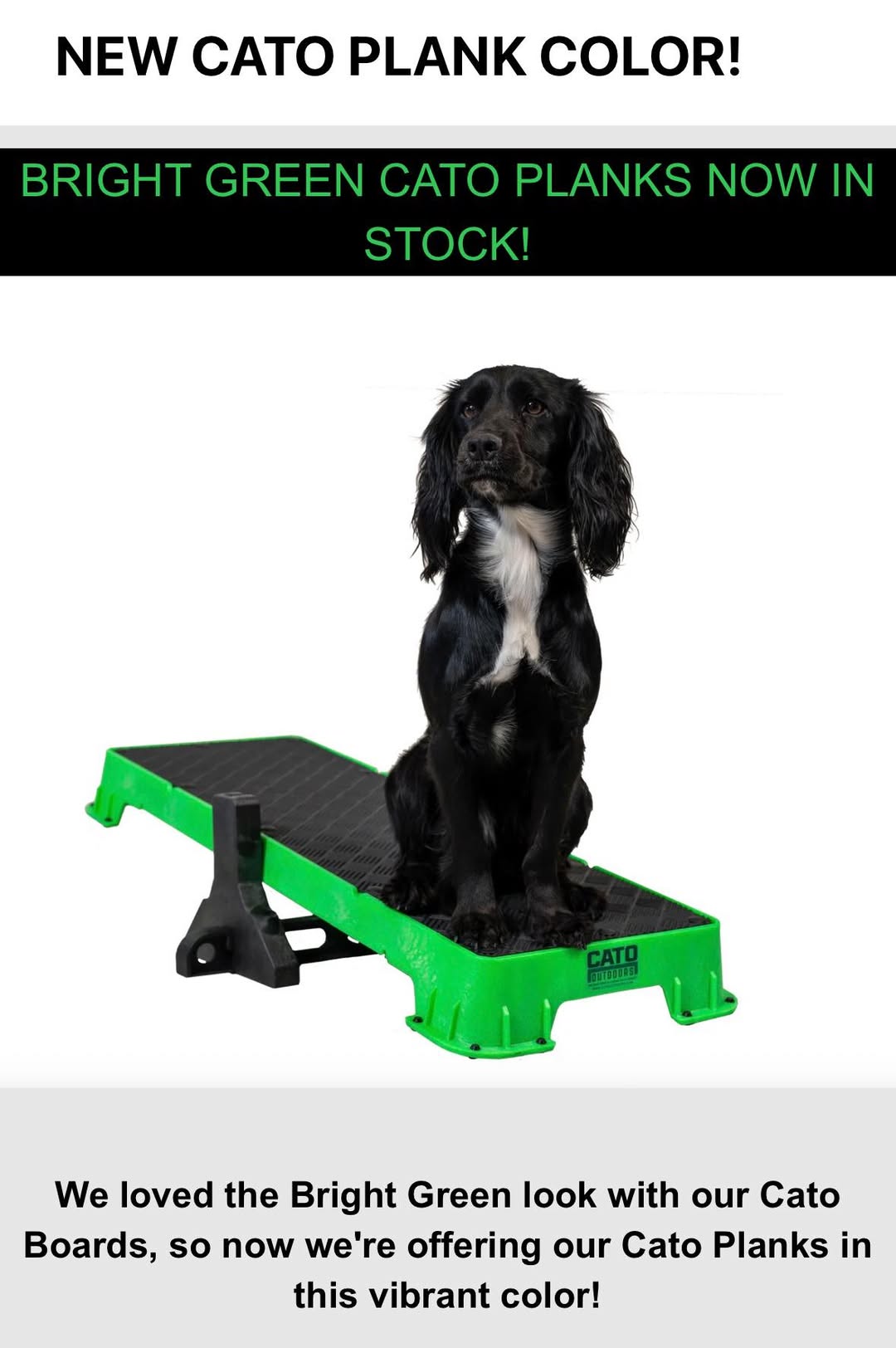 Cato Dog Place Training Board 2 New Colors!