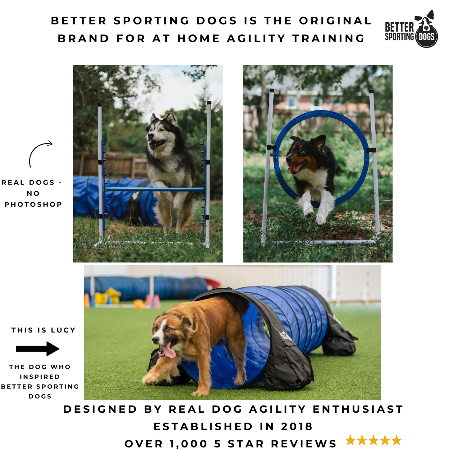 Retrieverworx Agility Equipment Set (5 Piece)