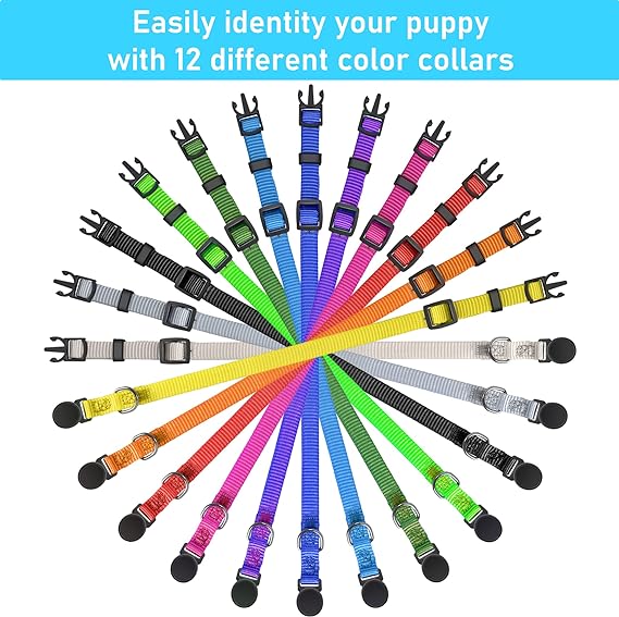 Retrieverworx puppy collars for retriever training