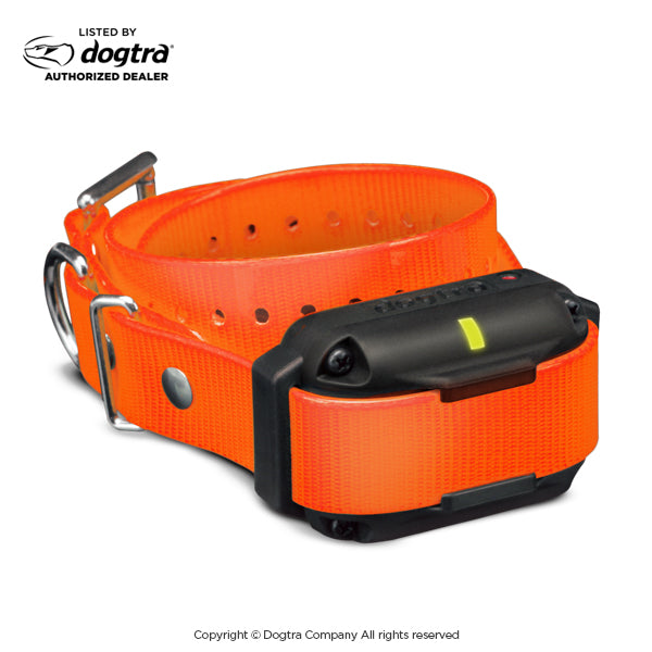 Retrieverworx orange Dogtra Edge RT additional ecollar for retriever training