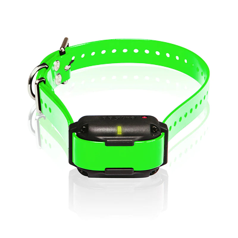 Retrieverworx green Dogtra Edge RT additional ecollar for retriever training