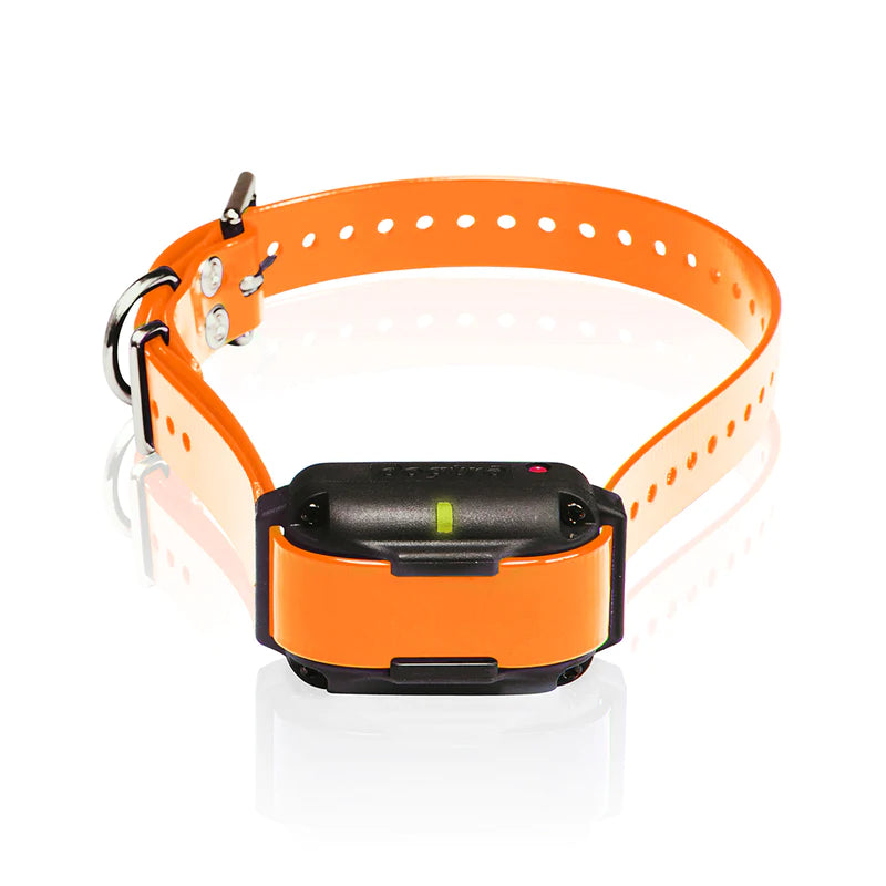 Retrieverworx orange Dogtra Edge RT additional ecollar for retriever training