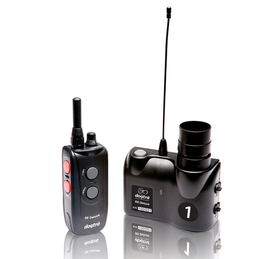 Retrieverworx Dogtra RR Deluxe remote electronics for retriever training