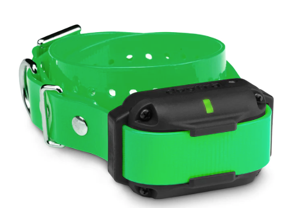 Retrieverworx green Dogtra Edge RT additional ecollar for retriever training