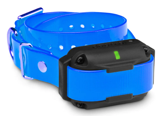 Retrieverworx blue Dogtra Edge RT additional ecollar for retriever training