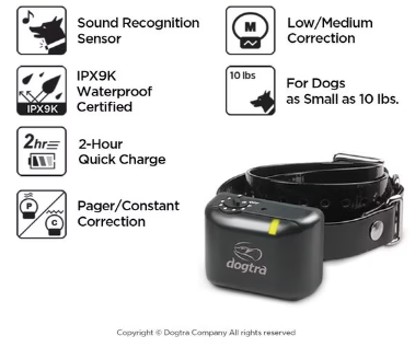Retrieverworx Dogtra YS300 electronic bark collar for retriever training