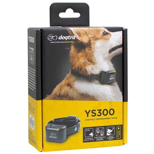 Retrieverworx Dogtra YS300 electronic bark collar for retriever training