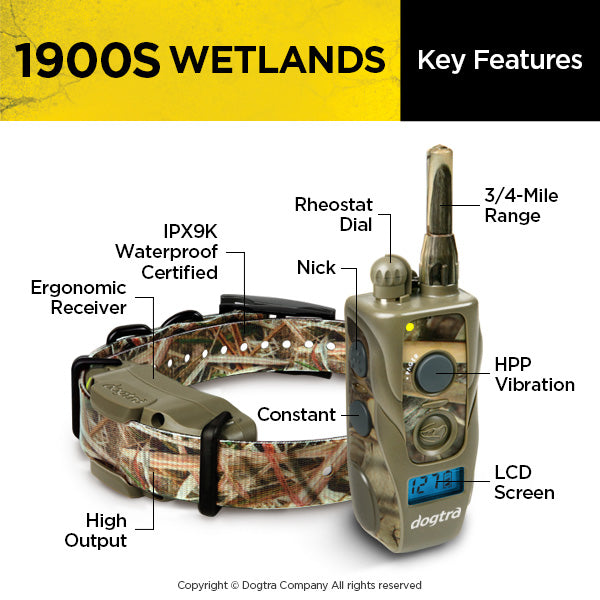 Retrieverworx Dogtra Wetlands 1900s ecollar for retriever training