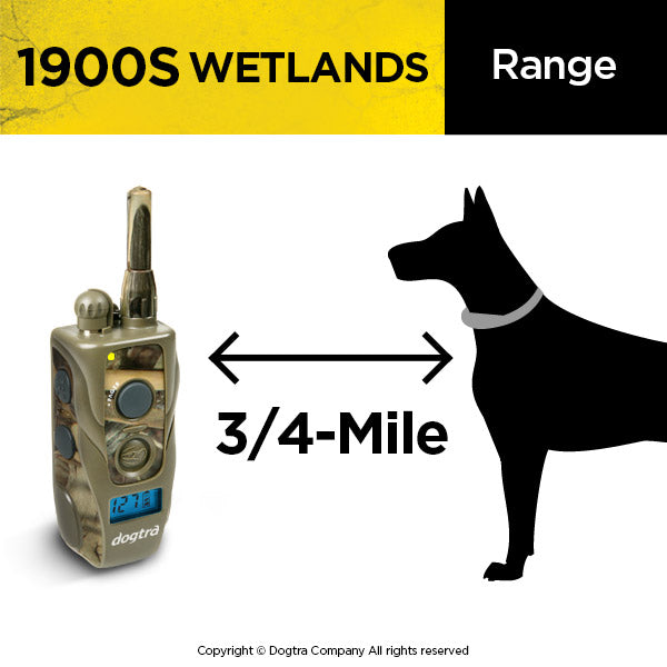 Retrieverworx Dogtra Wetlands 1900s ecollar for retriever training