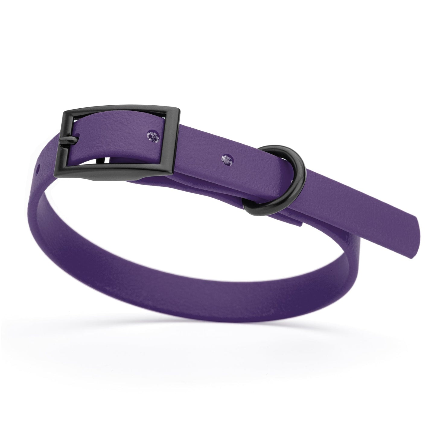 Dogline Biothane Waterproof Dog Collar with Black Hardware - Size XS (9 to 12 inches)