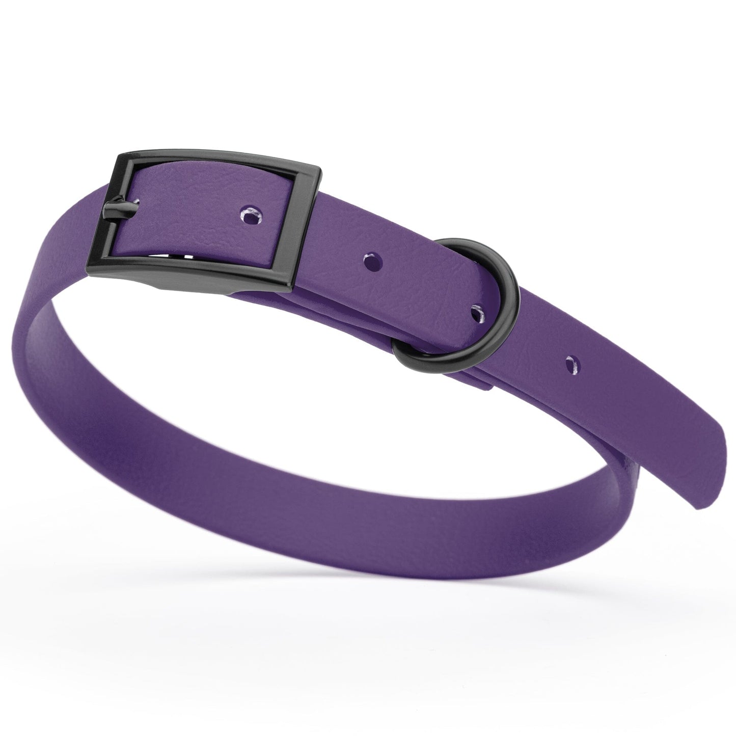 Dogline Biothane Waterproof Dog Collar with Black Hardware - Size S (12 to 15 inches)