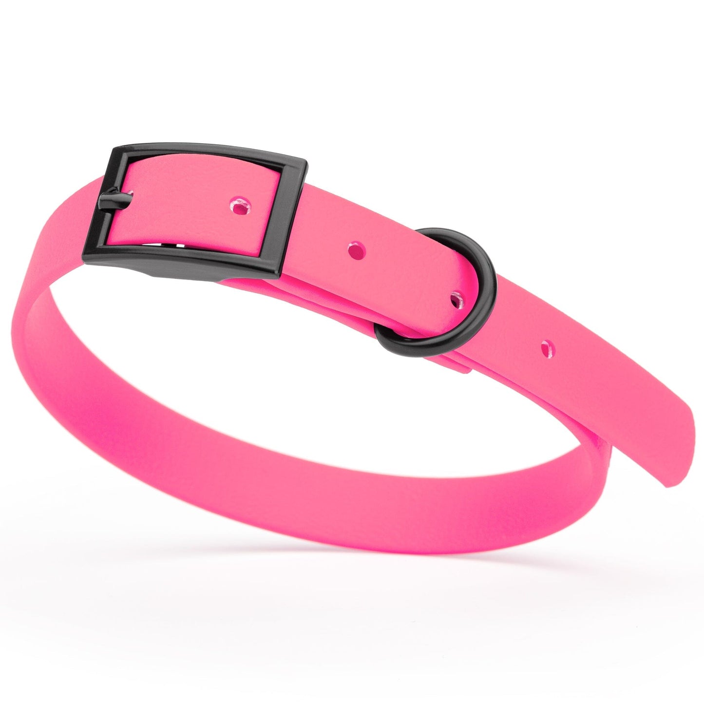 Dogline Biothane Waterproof Dog Collar with Black Hardware - Size S (12 to 15 inches)