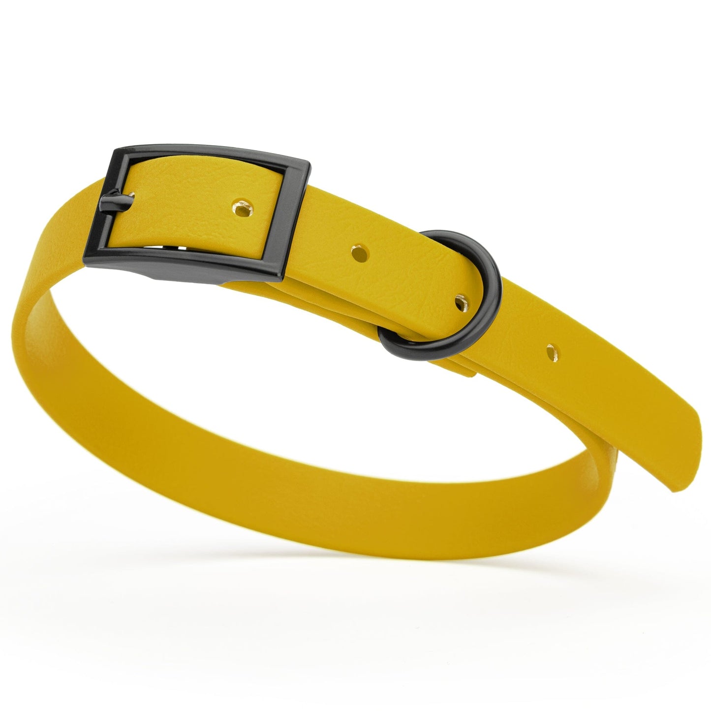 Dogline Biothane Waterproof Dog Collar with Black Hardware - Size S (12 to 15 inches)