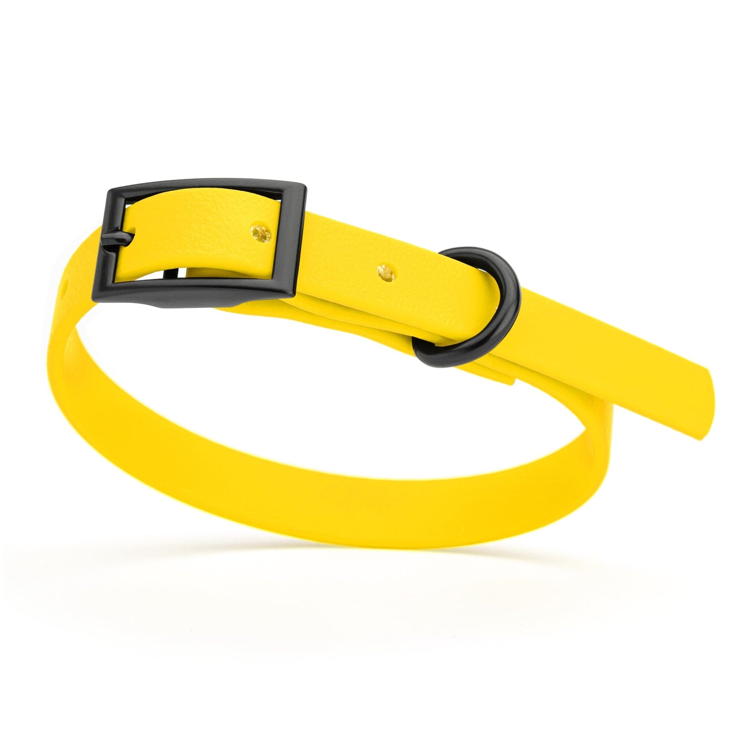 Dogline Biothane Waterproof Dog Collar with Black Hardware - Size XS (9 to 12 inches)