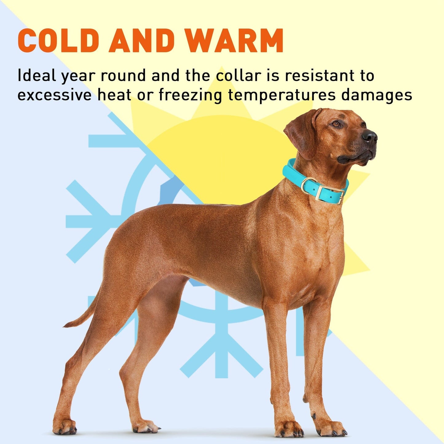 Viper Biothane Waterproof Dog Collar - Brass Hardware - Size S (12 to 15 inches)