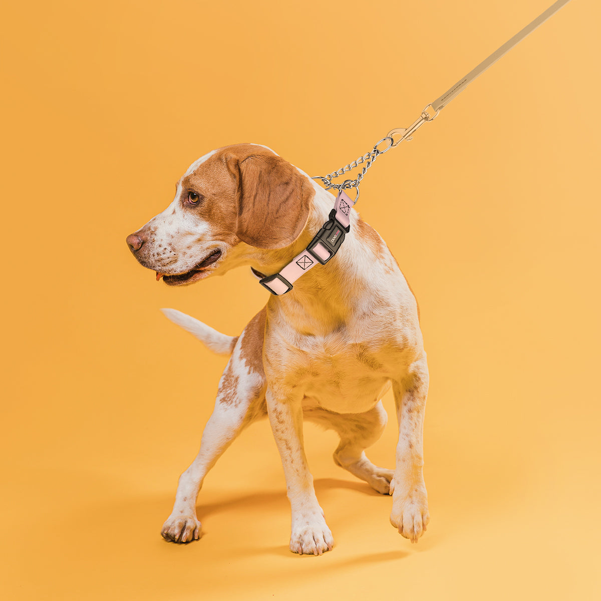 Martingale Collar with Quick Release Buckle Pink