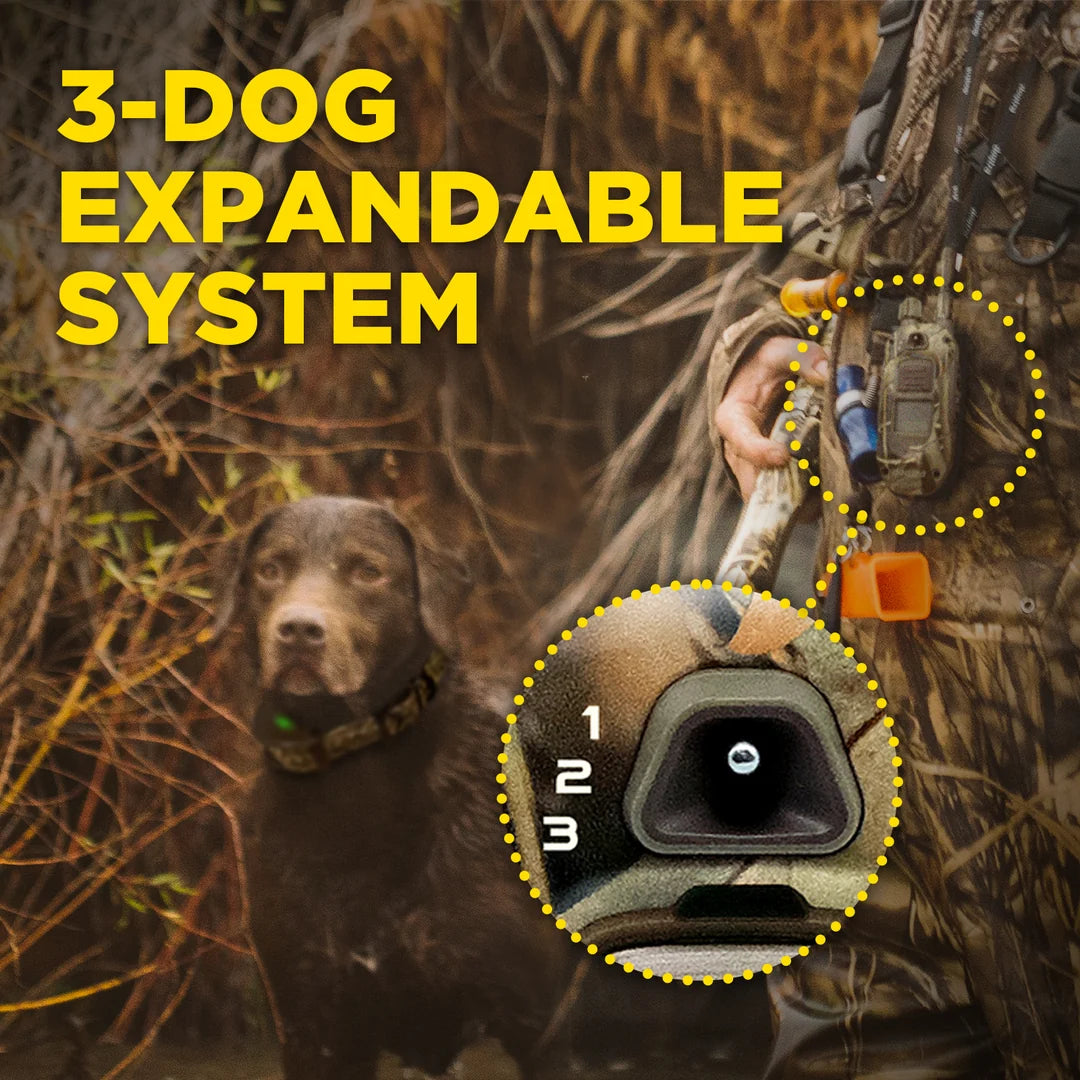 Dogtra 1900x Camouflage