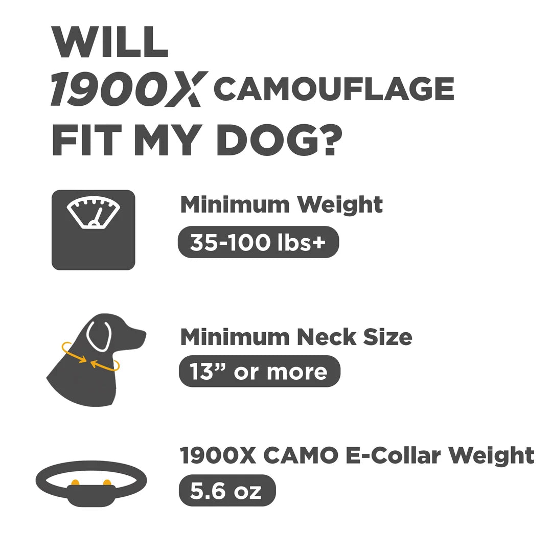 Dogtra 1900x Camouflage