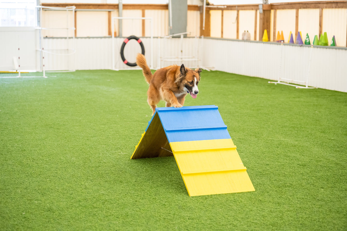 Retrieverworx Better Sporting Dogs Dog Agility A-Frame – Arrives Fully Assembled