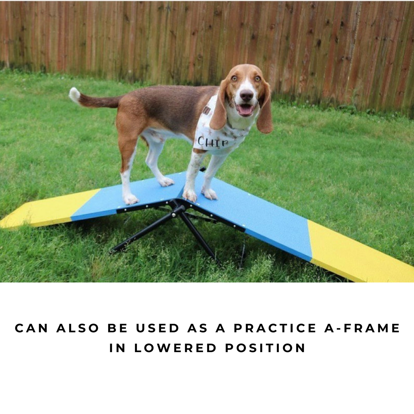 Retrieverworx Better Sporting Dogs Practice See Saw – Fully Assembled Practice Teeter for Dog Agility Training