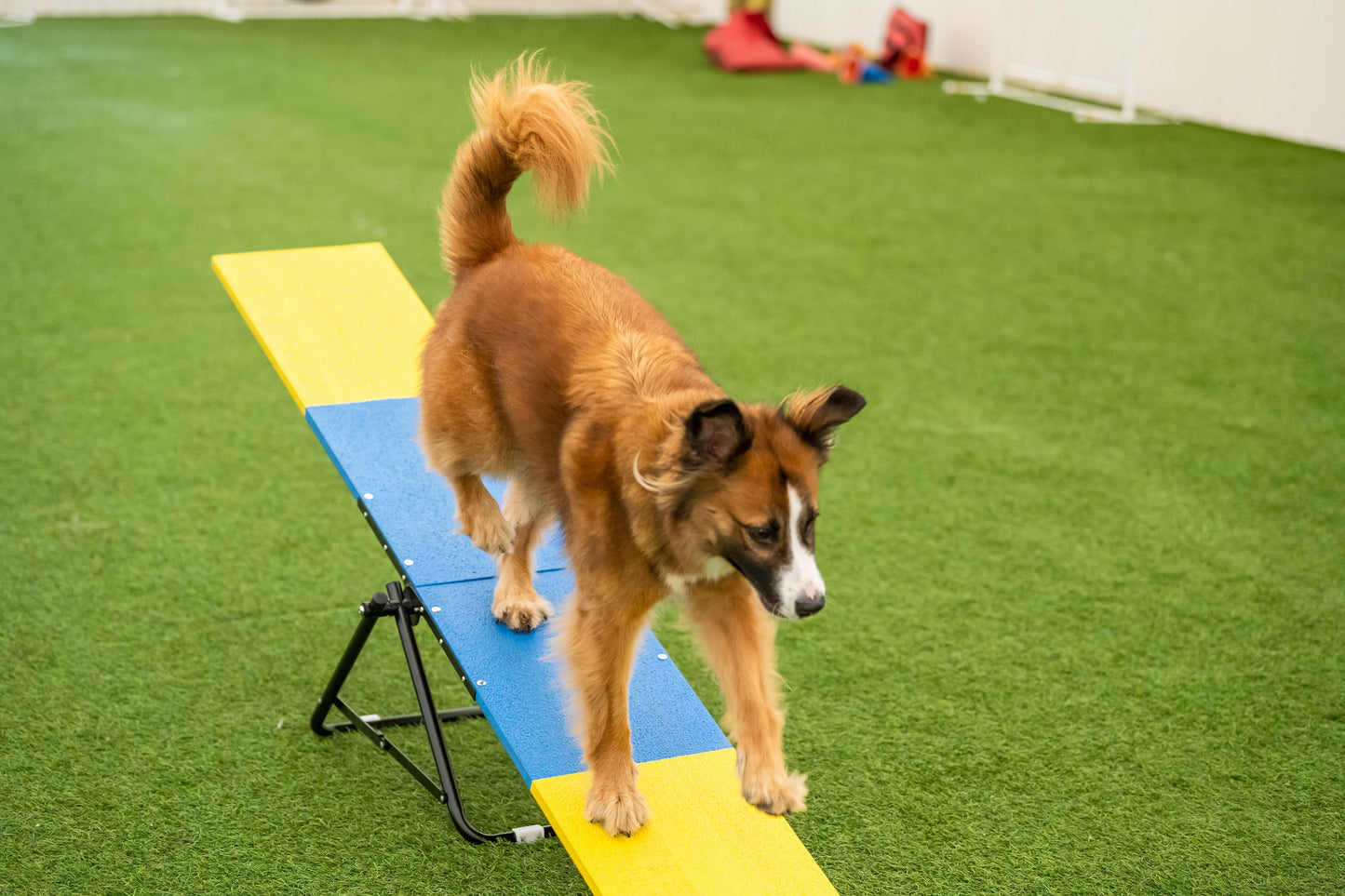 Retrieverworx Better Sporting Dogs Practice See Saw – Fully Assembled Practice Teeter for Dog Agility Training