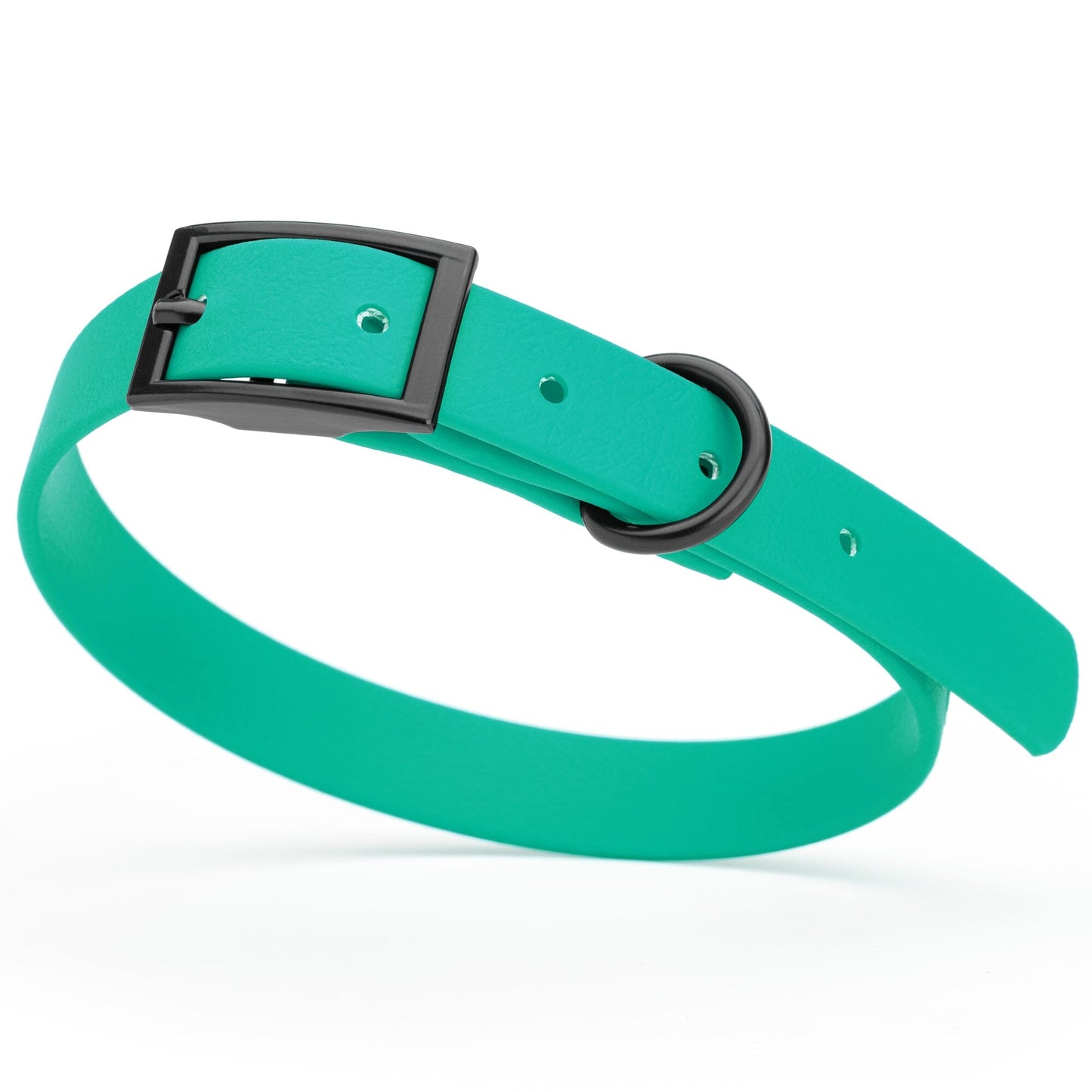 BioThane Waterproof Dog Collar - XS: L 9"-12" x W 1/2" - Black OR Brass Hardware