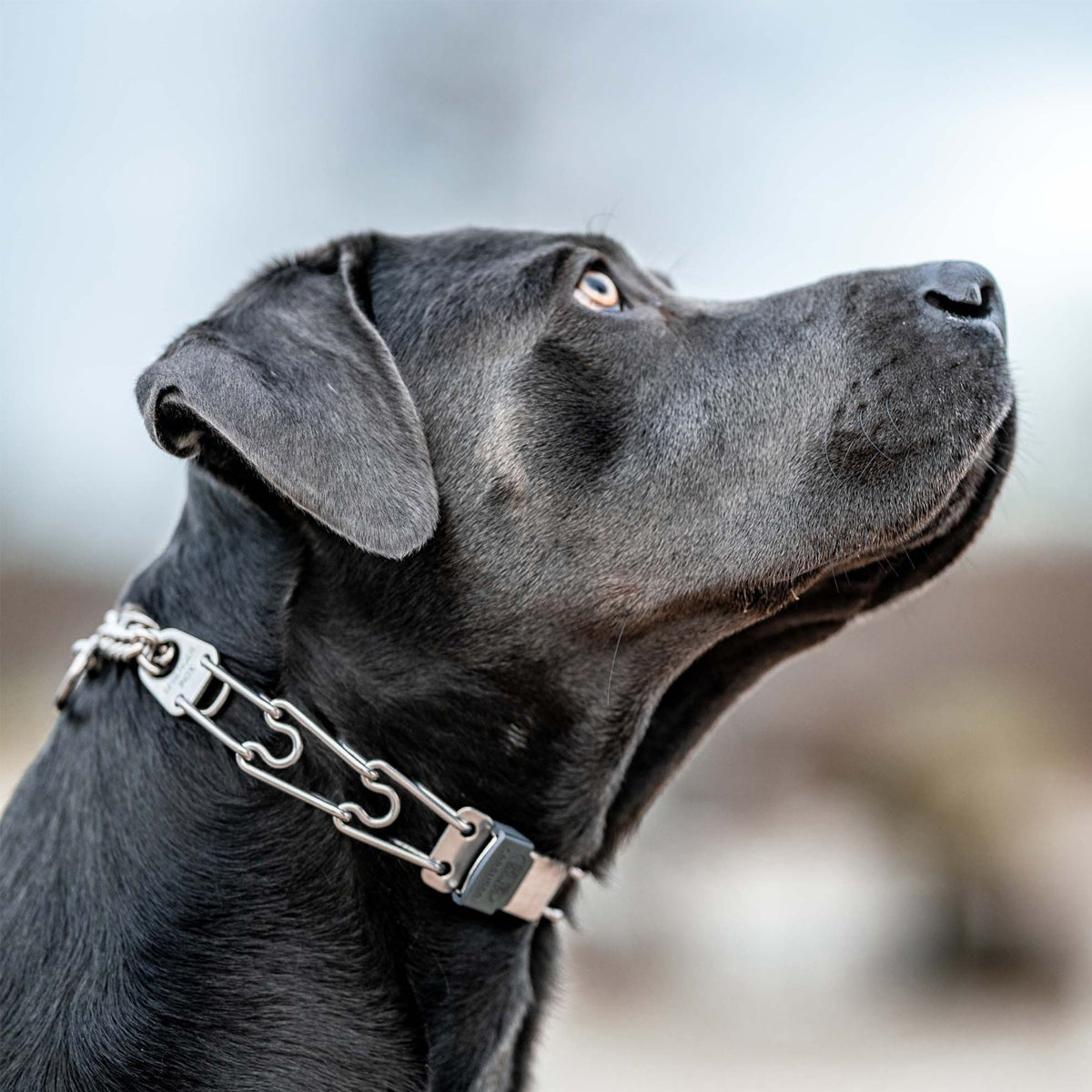 Herm Sprenger Prong Collar Quick Release