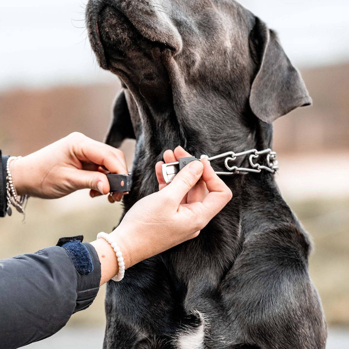 Herm Sprenger Prong Collar Quick Release