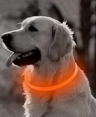 Rechargeable Neon Lighted Collar