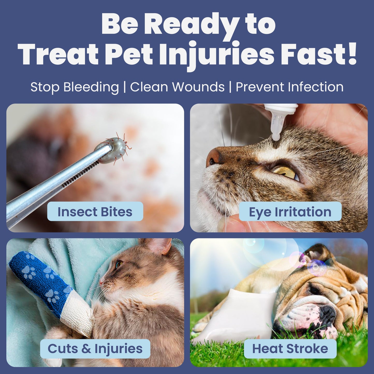 Pet First Aid Kit for Dogs with Vet-Approved Essentials