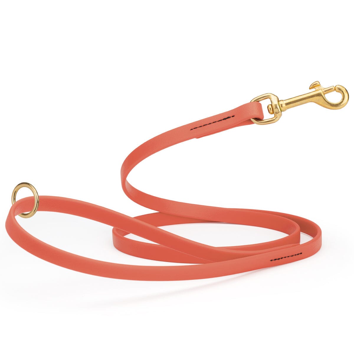 Biothane Working Dog Lead 4ft