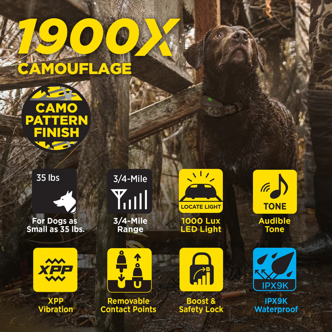 Dogtra 1900x Camouflage