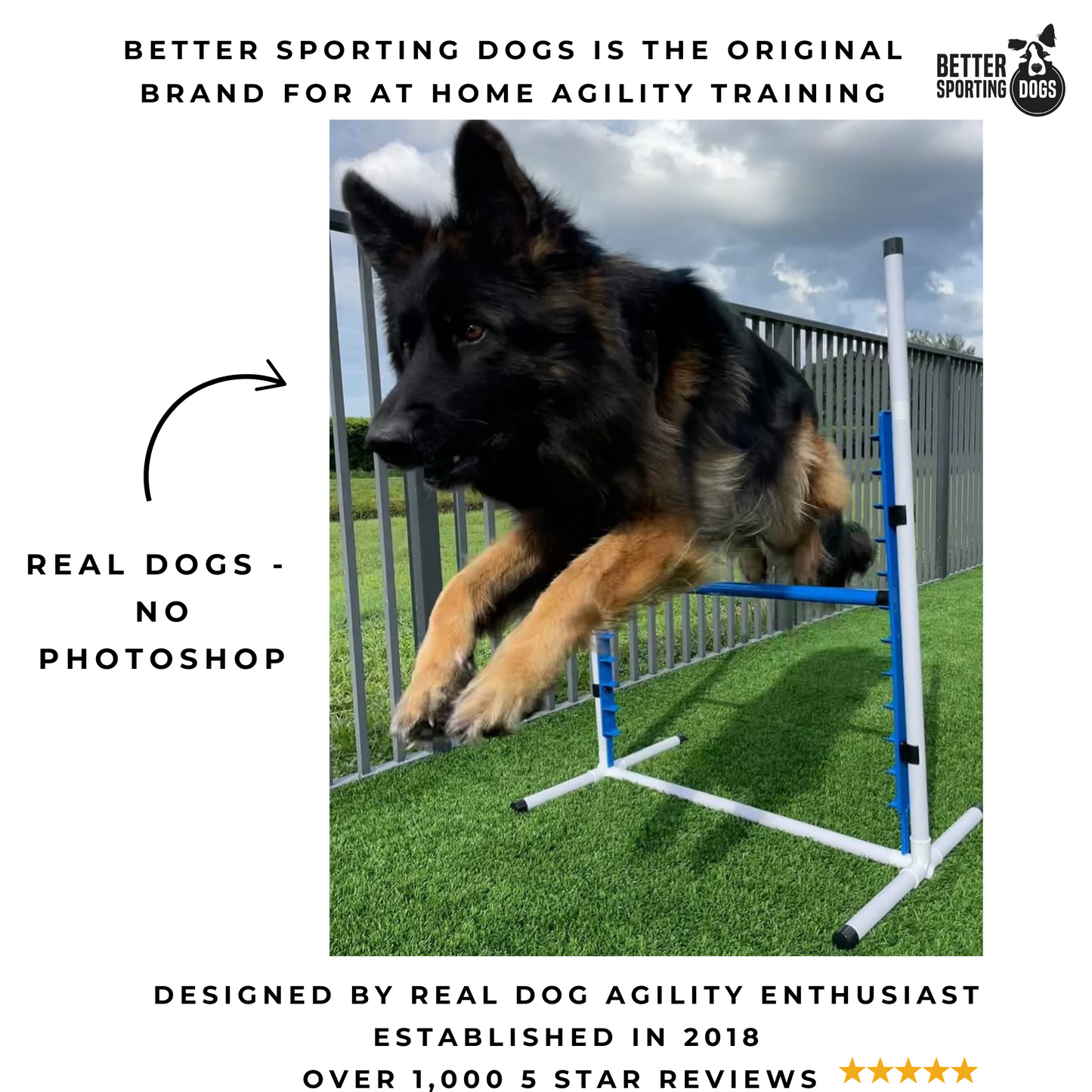 Retrieverworx Better Sporting Dogs Adjustable Dog Agility Bar Jumps