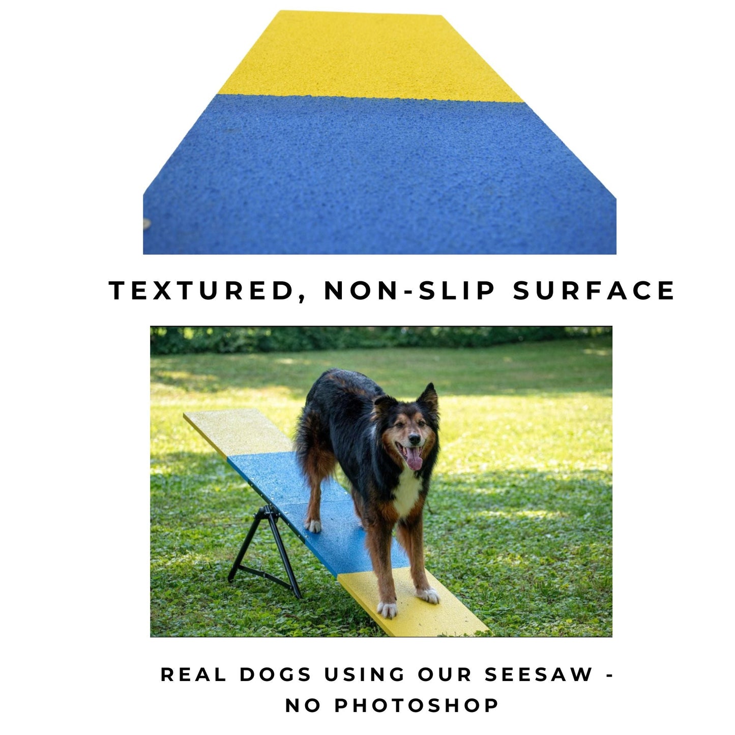 Retrieverworx Better Sporting Dogs Practice See Saw – Fully Assembled Practice Teeter for Dog Agility Training