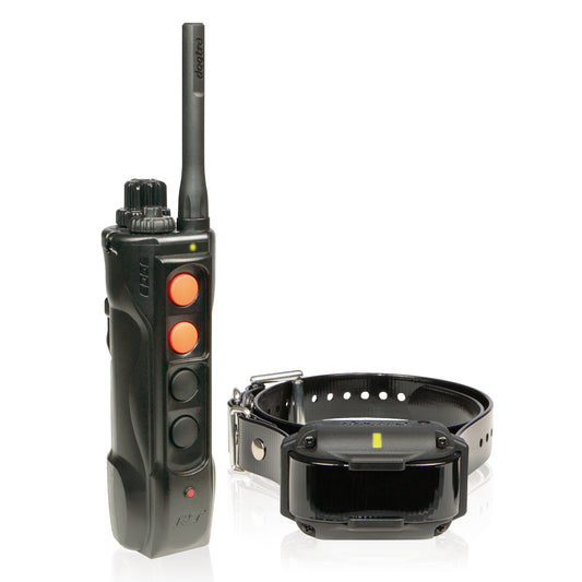 Retrieverworx Dogtra Edge RT ecollar for retriever training